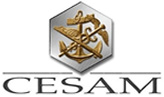 Logo CESAM